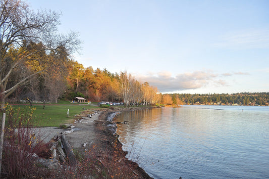 Lake Washington shoreline at Seward Park in Seattle