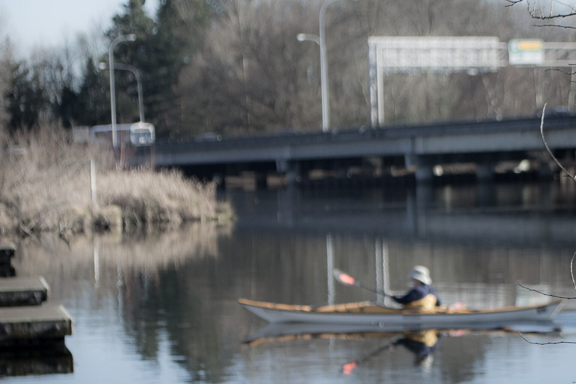 Canoer paddling near the Washington Park Arboretum wetlands