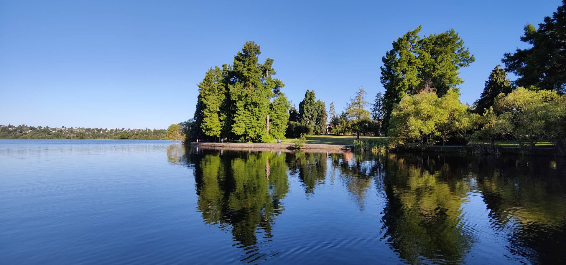 Calm paddle boarding at Green Lake in Seattle
