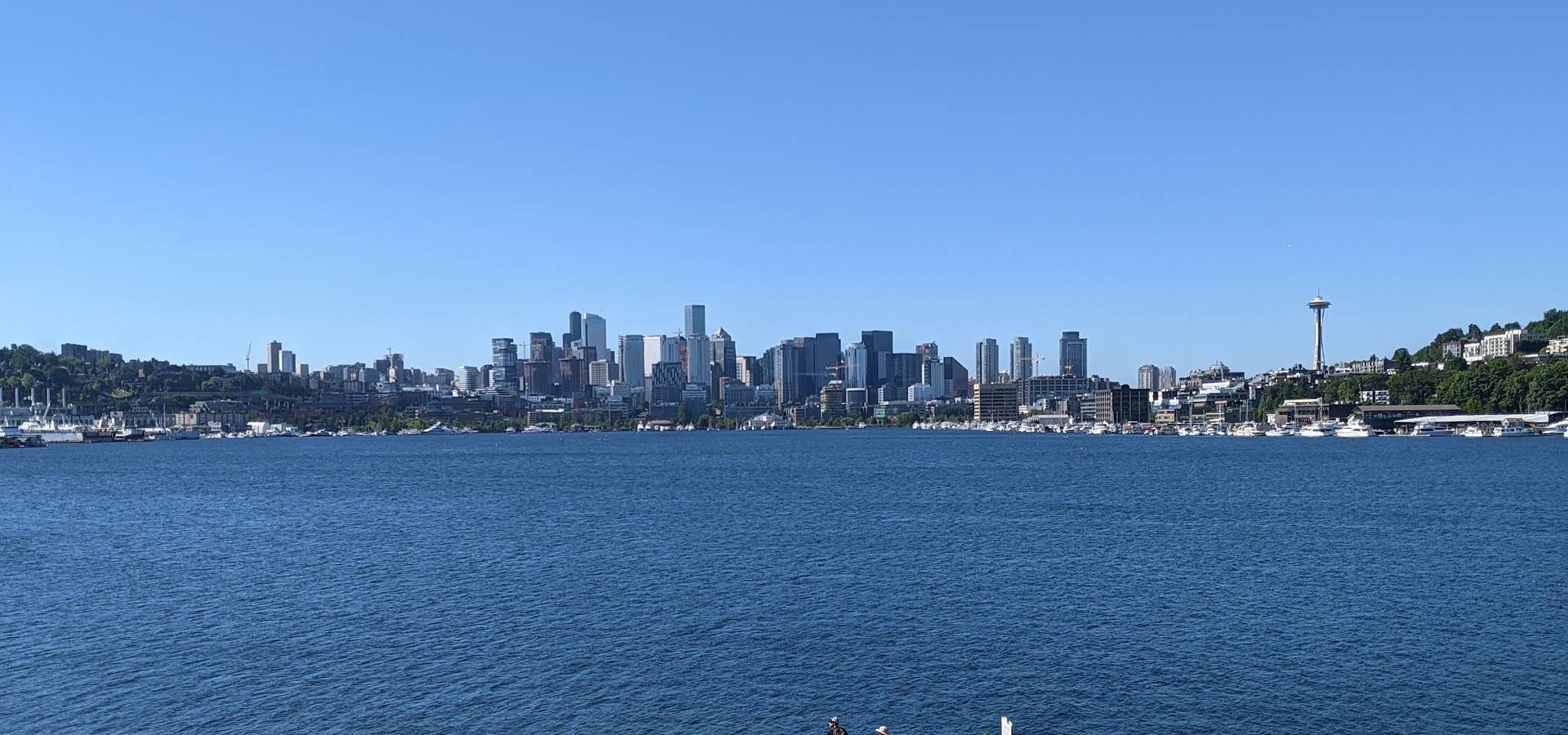 Paddle boards on Lake Union with Seattle skyline views