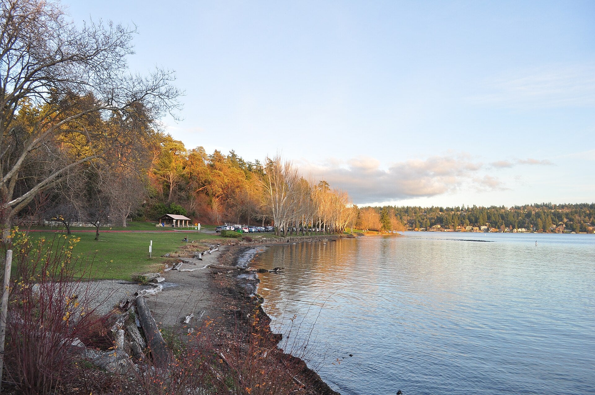 Lake Washington shoreline at Seward Park in Seattle